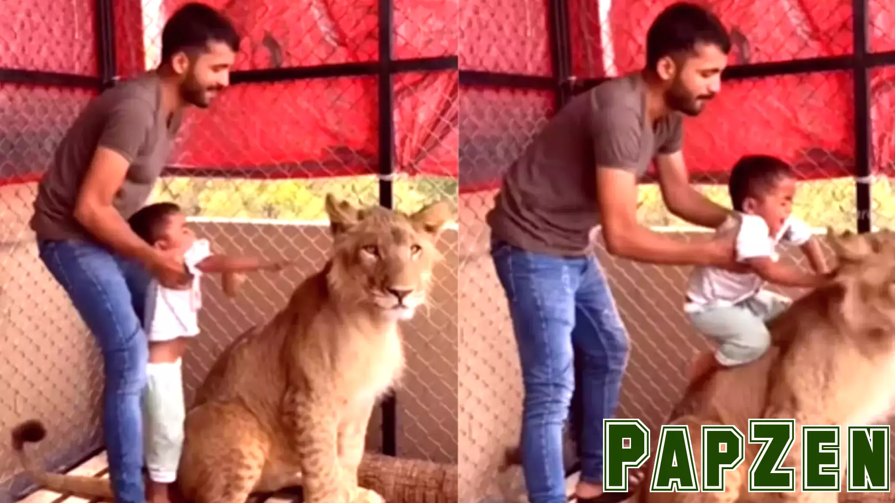 Outrage Erupts Over Man's Dangerous Stunt with Child and Lion