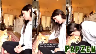 Heartwarming Gentle Parenting Techniques for Dogs