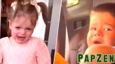 Parents Are Yelling This Name to Stop Toddler Tantrums Instantly